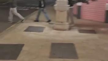 Indignación entre los vecinos de Málaga: graban a turistas robar un árbol y llevárselo a su apartamento