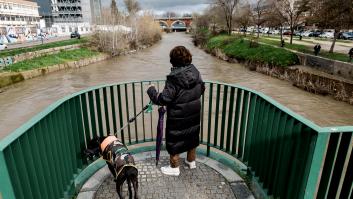 Una mañana a orillas del río Manzanares entre curiosos, muchas fotos y una gran incertidumbre