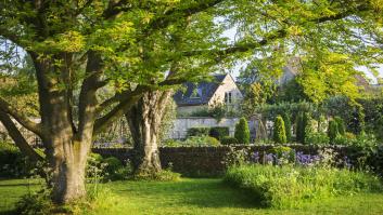 En España abundan las bolsas negras en los árboles y piden por tu salud huir rápidamente del lugar si ves una