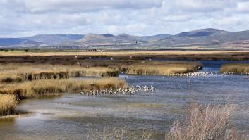 Este es el parque nacional más pequeño de España
