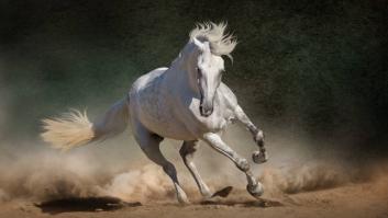 Los "guardianes de los corceles" activan las alarmas y declaran a los caballos salvajes españoles en peligro