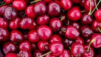 Una nueva variedad de cereza española rompe todos los esquemas