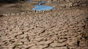 Mario Picazo rompe las ilusiones al pedir máxima alerta por la sequía: "Tenemos zonas al límite de agua"