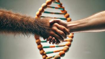 Un nuevo estudio desconcierta al descubrir que el 20% del patrimonio genético humano proviene de una misteriosa población ancestral