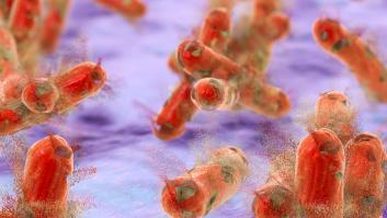 La OMS advierte de la amenaza que suponen los recortes en salud en el avance de la lucha contra la tuberculosis