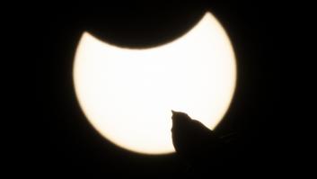 El eclipse solar parcial en España, en imágenes