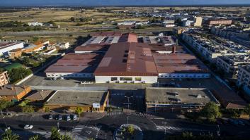 Extremadura, la cuna de la innovación tabaquera en España: así se produce y se transforma el mejor tabaco del país