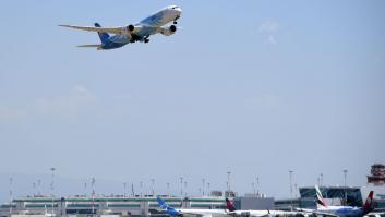 Piden acción inmediata para rescatar 80 gatos del infierno en las pistas de uno de los aeropuertos más grandes de Europa: "Están muriendo de hambre y sed"