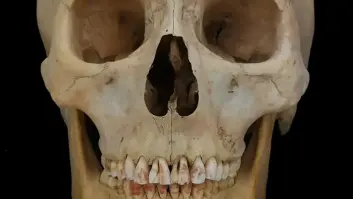 Arqueólogos hallaron marcas únicas en el esqueleto de 2.000 años de la 'Princesa Roja' y ahora desvelan el motivo