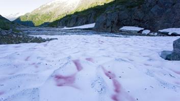 Preocupación de los científicos por el extraño fenómeno que hace 'sangrar' los glaciares con consecuencias planetarias