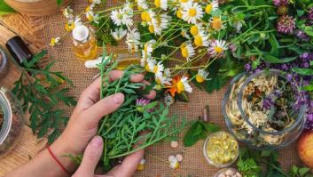 Esta planta es una joya secreta que fortalece la memoria y mejora la digestión en poco tiempo