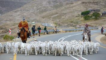 Y el arancel más alto de Trump es para... ¡¿Lesoto?!: estas son las razones de EEUU