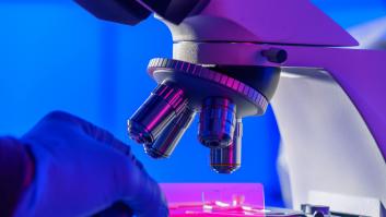 Los científicos encuentran en las bacterias la solución natural que devora el cáncer y empiezan el contraataque