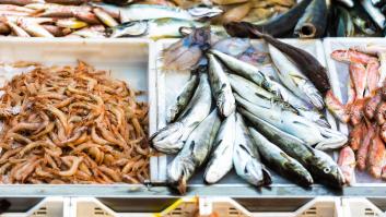 Ni salmón ni caballa: el 'pescado del futuro' que presume de su contenido en minerales y vitaminas