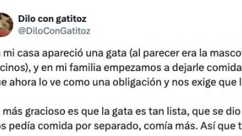Lo que ha tenido que hacer una familia con el gato del vecino arrasa: van 2,7 millones de reproducciones