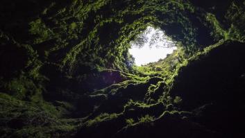 Un sonido de animal del subsuelo intriga a unos vecinos, la comunidad de vecinos se moviliza 20 horas y aparece el rostro más tierno