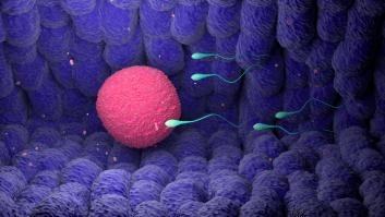 Investigan a casi 80.000 hombres y descubren una conexión entre el esperma y la esperanza de vida