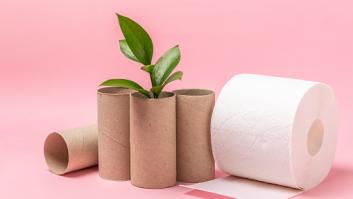 No tires los rollos de papel higiénico vacíos: son un tesoro en manos de los que conocen este truco