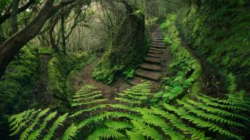 Los guardianes de parques naturales que en su origen tenían una función muy diferente