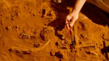 Una universidad decide hacer reformas, empiezan por el patio y un grupo de arqueólogos debe desplegarse de inmediato por el increíble hallazgo