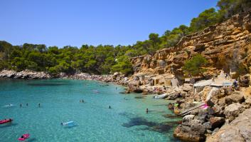 Italia habla de Ibiza "invadida" por la serpiente que sigilosamente ha pasado a ser una grave amenaza ecológica