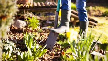 Un experto abre la veda de los jardines: las mejores semillas para plantar en junio