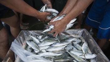 Frustración tras los resultados de la primera prueba de importación de pescado de Marruecos a Ceuta