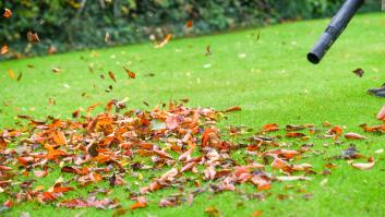 El país que tiene prohibido cortar el césped en Semana Santa por una ley que prioriza la paz y la tranquilidad