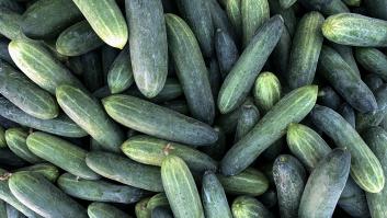 Adiós a la cosecha: los pepinos detestan tener como 'vecinas' a estas plantas y piden no plantarlas juntas en tu jardín