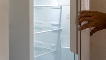 Los dos ingredientes comunes que esconden la combinación mortal para eliminar el nido de cucarachas en tu nevera