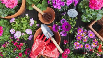Piden sustituir las flores más populares de los balcones españoles por una versión más resistente al calor del verano