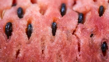 Jugada maestra de España con el batacazo histórico de Marruecos con la fruta del verano sin calorías