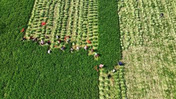 Descubren un montículo donde no crece la hierba, excavan 5 metros y descubren un tesoro histórico sepultado con un cemento muy especial
