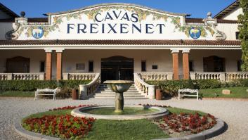 Freixenet anuncia un ERE para 180 empleados, el 24% de la plantilla