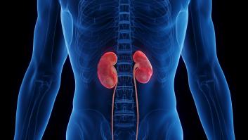 Es una verdura riquísima en nutrientes, pero su consumo excesivo produce cálculos renales y pocos españoles lo saben