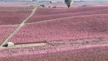 El interminable mar rosa español que se extiende hasta donde alcanza la vista asombra a medio planeta