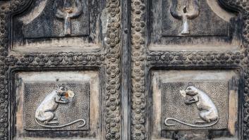 El templo de la India donde habitan más de 20.000 ratas bajo la protección de una diosa