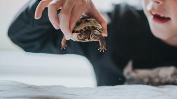 Los expertos lanzan un comunicado urgente por el enemigo microscópico oculto en la mascota predilecta de los niños