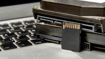 Un niño va al sótano de su abuelo y da con el tesoro antiguo de más de 125.000 euros que se podría mostrar en un museo