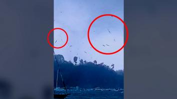 Una 'lluvia de peces' provoca un gran asombro entre la gente tras el paso de un tornado