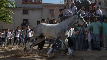 Día de la región de Murcia 2025: programa de actividades y qué hacer el 9 de junio