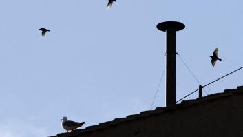 Cuándo será la próxima fumata para elegir nuevo papa