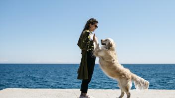 Expertos en adiestramiento de perros coinciden al pedir que los dueños tengan este comportamiento si tu perro te persigue