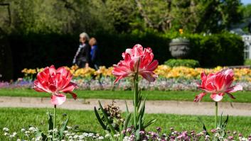 Los jardines botánicos cambian las etiquetas de sus plantas para eliminar los nombres racistas de las especies