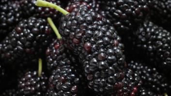 Esta "fruta de las abuelas" tiene 22 veces más calcio que un vaso de leche