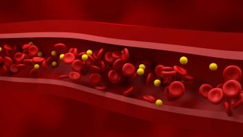 Un médico anima a comer como si no hubiera un mañana dos alimentos populares para rebajar el colesterol