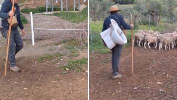 Un pastor tira de ironía para responder ante las multas que sufren los agricultores por no llevar retretes portátiles al campo