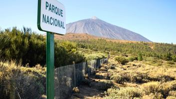 Registran un nuevo enjambre sísmico en las Cañadas del Teide (Tenerife) con 700 pequeños terremotos
