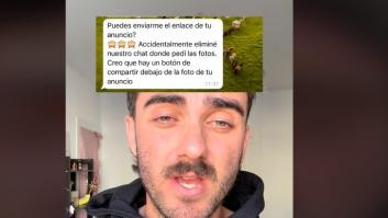 Le intentan estafar por Wallapop y su venganza es épica: el timador sale MUY trasquilado