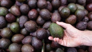 España enciende las alarmas al duplicarse los aguacates contaminados que llegan de los países frecuentes en nuestros supermercados